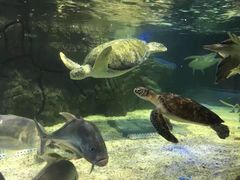 -成都浩海立方海洋公园