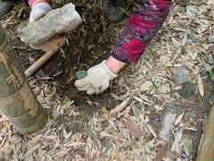 -上海佘山国家森林公园西佘山园