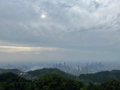-大金鹰园