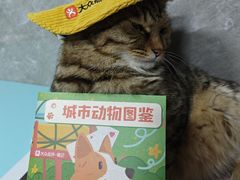 -瑞虹新天地月亮湾