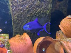 -Zoolung Zoolung动物主题公园(海信广场店)