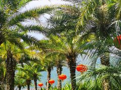 -三亚海棠湾万丽度假酒店