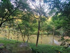 -大屏嶂森林公园