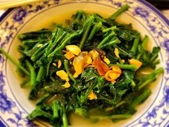 云南板蓝根-香山家宴