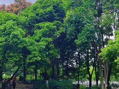 -成都市活水公园