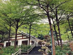 -广州市帽峰山景区