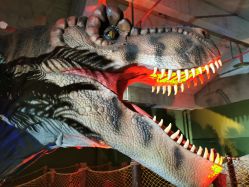 -恐龙探索乐园(磁器口店)