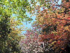 -桃花岛景观公园