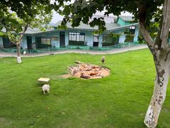 -西霞口神雕山野生动物世界