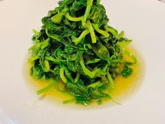 清炒豌豆尖-人间采蜜(海信广场店)