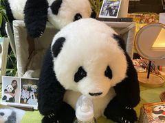 -轩客会(熊猫书店)