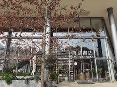 -茑屋书店(天目里店)