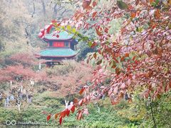 -岳麓山风景名胜区