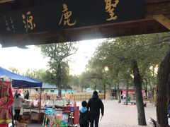 -赛汗塔拉风情园