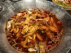-沸腾鱼乡(知春路分店)