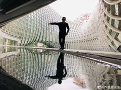 -凤凰中心