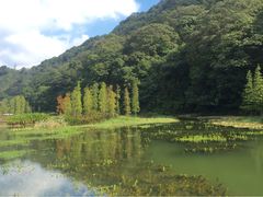 -广州市石门国家森林公园