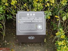 -韩湘水博园