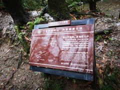 -杭州黄龙洞