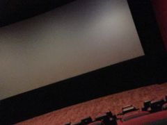 -AMG海上明珠影城(上海环球港RealDCinema店)