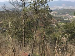 -黄陂区野村谷景区