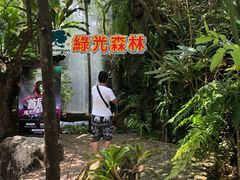 -绿光森林餐厅