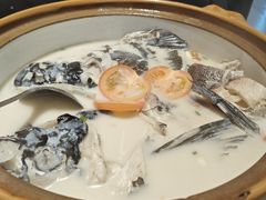 -全乐鱼馆·淳牌有机鱼直营店