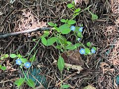 -白草畔自然风景区