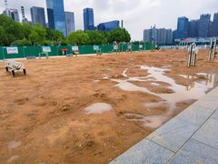 -天鹅湖体育公园