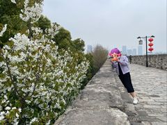 -南京城墙景区