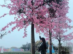-广东花都香草世界旅游度假区