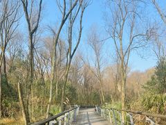 -西湖风景区-江洋畈生态公园