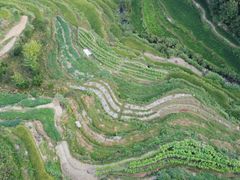 -灵山景区梯田