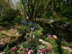 -上海共青森林公园