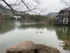 -白马涧龙池景区