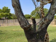 -上海野生动物园