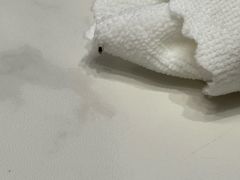 -仙品龙虾(总店)