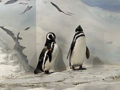 -上海海洋水族馆