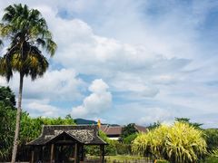 -中国科学院西双版纳热带植物园