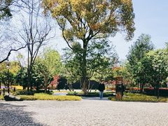 -上海市龙华烈士陵园