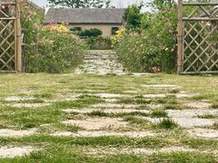 -盐城丹顶鹤湿地生态旅游区