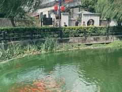 -金山嘴渔村