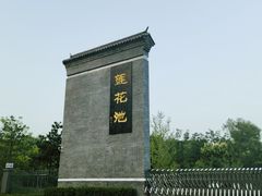 -莲花池公园