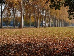 -河南省黄河迎宾馆