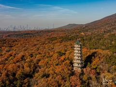 景点-中山陵景区