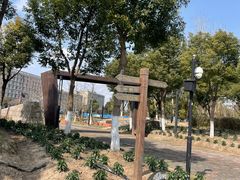 -春花秋色城市公园