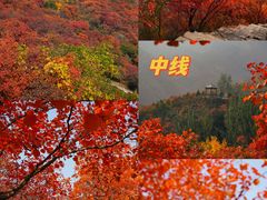 -周口店坡峰岭风景区