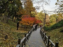 -香山公园