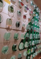 -乐高授权专卖店(朝阳大悦城店)