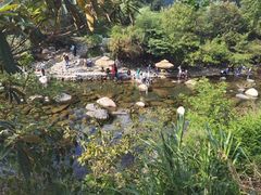-石台牯牛降景区